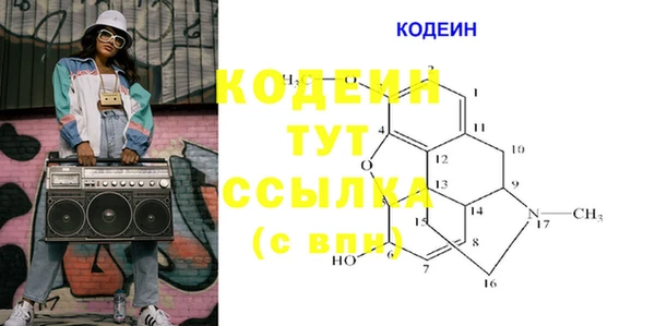 PSILOCYBIN Осинники