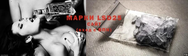 PSILOCYBIN Осинники