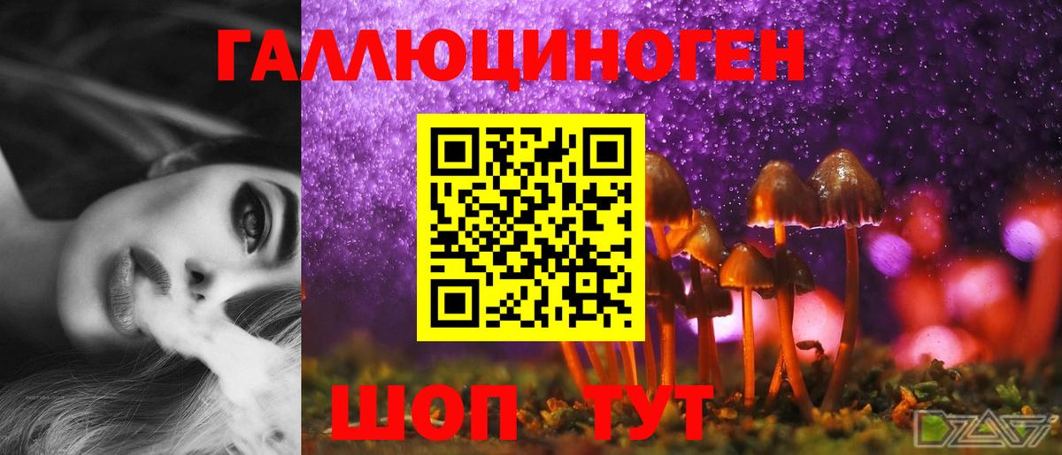 Галлюциногенные грибы Psilocybe Ипатово