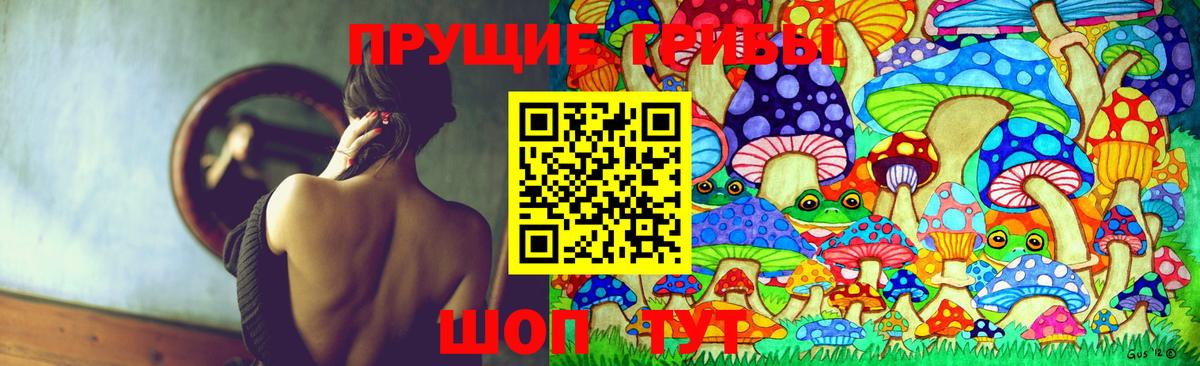 Псилоцибиновые грибы Psilocybe  Вход с VPN  Ипатово 