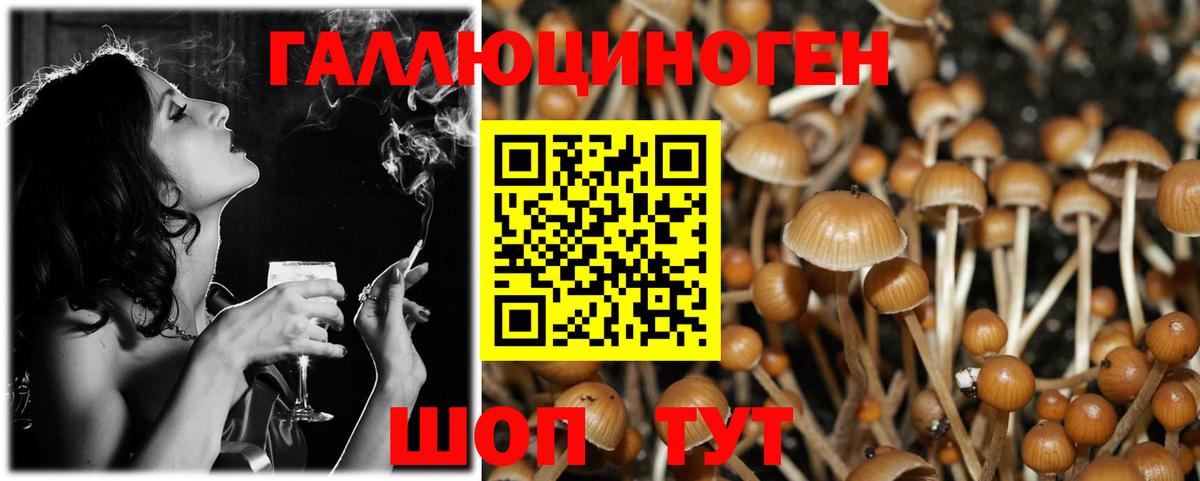 Псилоцибиновые грибы Psilocybine cubensis  Псилоцибиновые грибы Magic Shrooms  Ипатово 