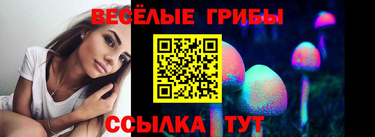 Галлюциногенные грибы ЛСД Ипатово