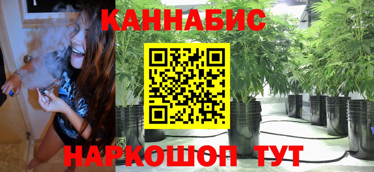 Канабис марихуана  Бошки Шишки Ganja  Шишки марихуана планчик  Ипатово 